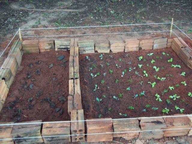 Projeto de horta