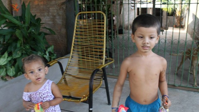Projeto Pata de Coelho VII - 2015