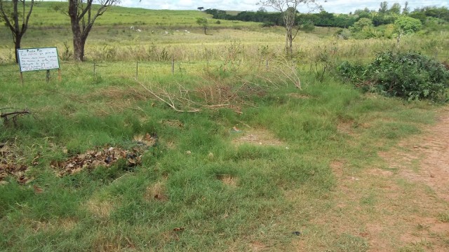 Projeto Consciência Mineral II