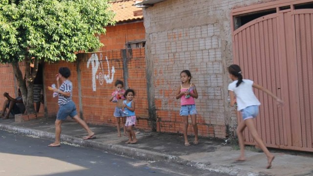 Projeto Pata de Coelho VII - 2015