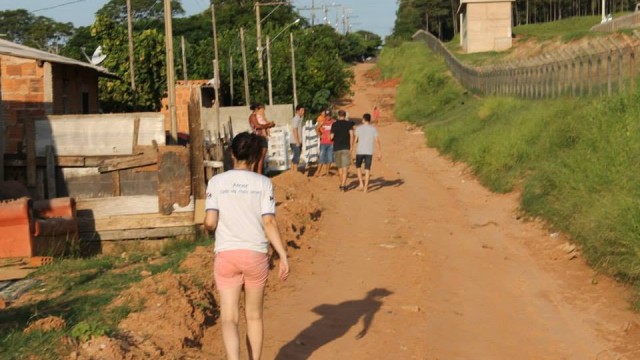 Projeto Pata de Coelho VII - 2015