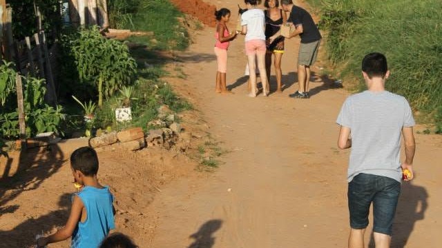 Projeto Pata de Coelho VII - 2015