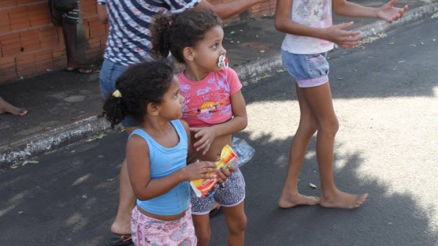 Projeto Pata de Coelho VII - 2015
