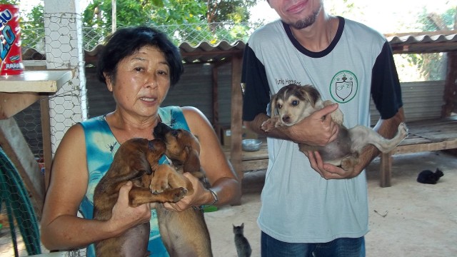 Campanha Cãozinho & Gatinho