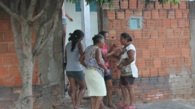 Projeto Pata de Coelho VII - 2015